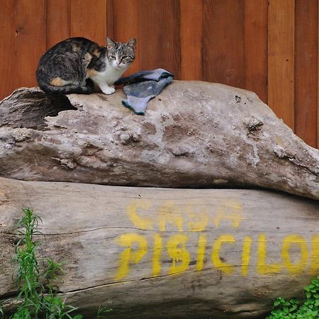 Cabana Suprema Armonie Dîmbovicioara Dış mekan fotoğraf