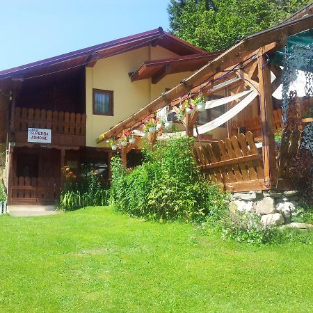 Cabana Suprema Armonie Dîmbovicioara Dış mekan fotoğraf