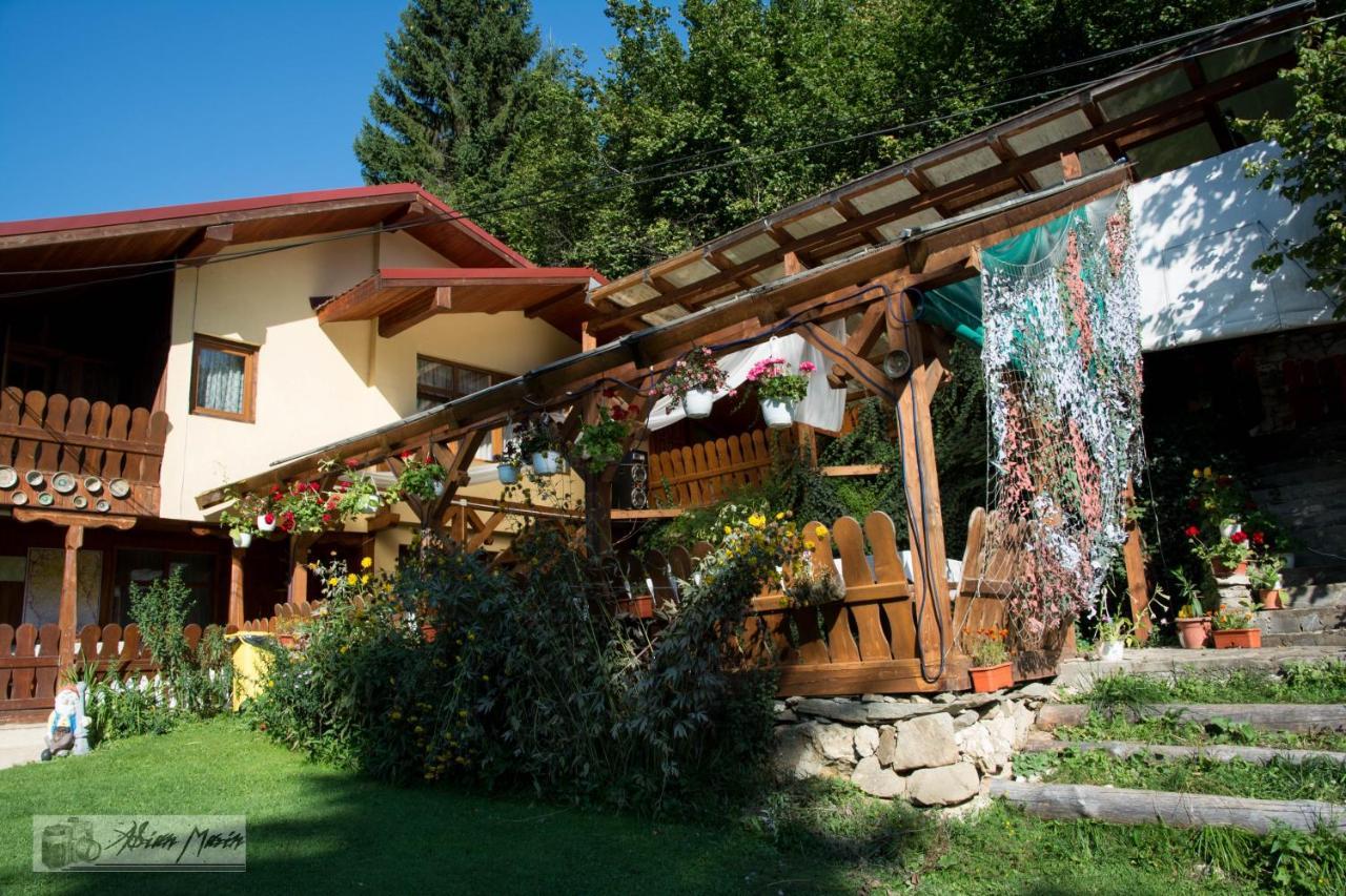 Cabana Suprema Armonie Dîmbovicioara Dış mekan fotoğraf
